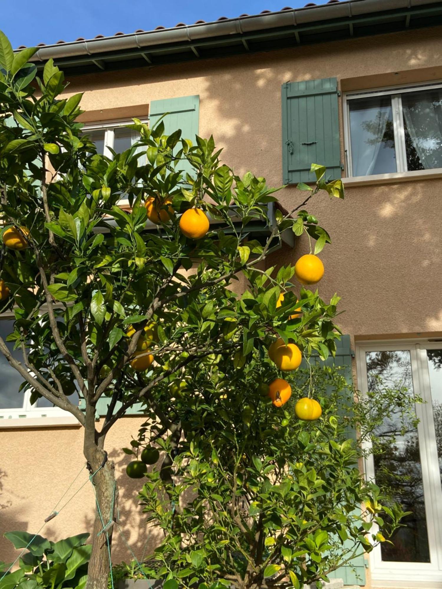 Francheville  Le Relais Des Malettes Chambres D'Hotes B&B מראה חיצוני תמונה