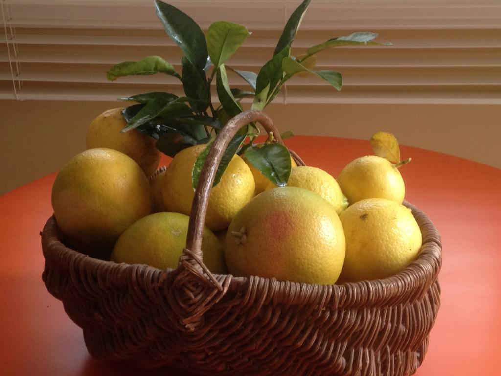 Francheville  Le Relais Des Malettes Chambres D'Hotes B&B מראה חיצוני תמונה