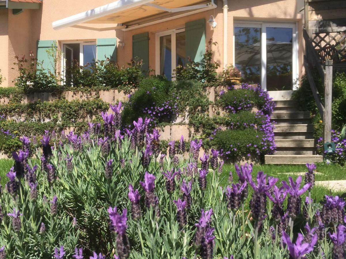 Francheville  Le Relais Des Malettes Chambres D'Hotes B&B מראה חיצוני תמונה